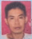 GERRY FRANS